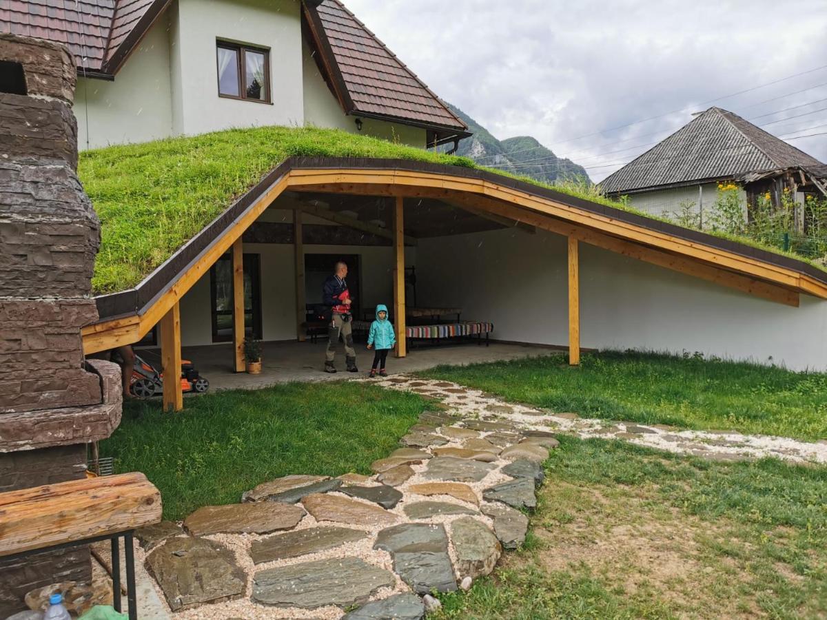 Pensiunea Dealul Cu Melci Vidra  Exterior photo
