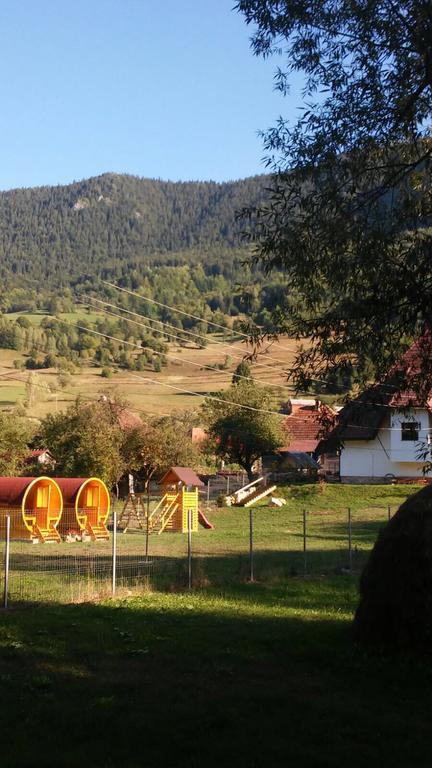 Pensiunea Dealul Cu Melci Vidra  Exterior photo