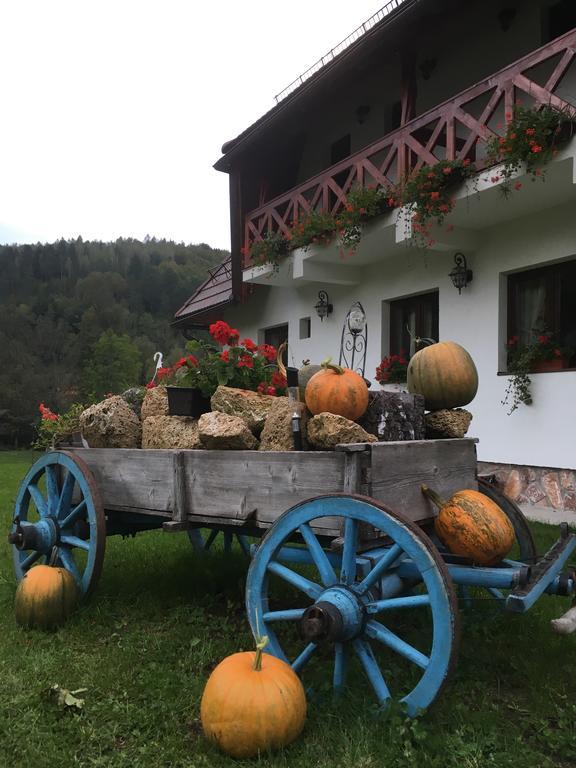 Pensiunea Dealul Cu Melci Vidra  Exterior photo